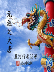 无敌之大唐 小说