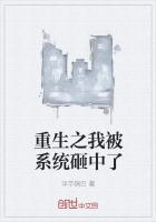 重生之我被系统砸中了百度云
