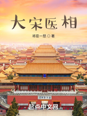 大宋医相TXT百度网盘